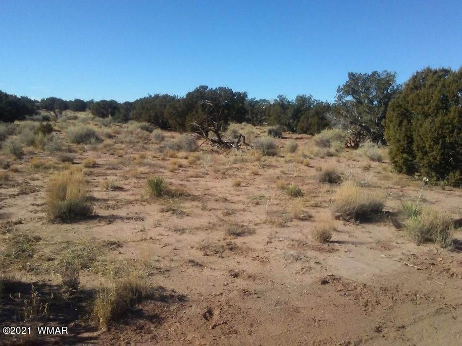 4596 El Dorado Road Snowflake, AZ 85937 - Photo 6 of 32 a view of a dry field with trees in the background
