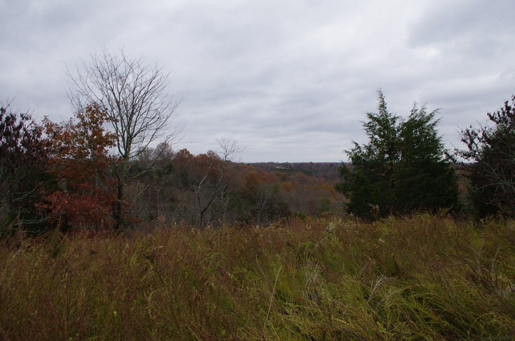 2475 Claxon Ridge Road Owenton, KY 40359 - Photo 9 of 40 Gallery Image 9