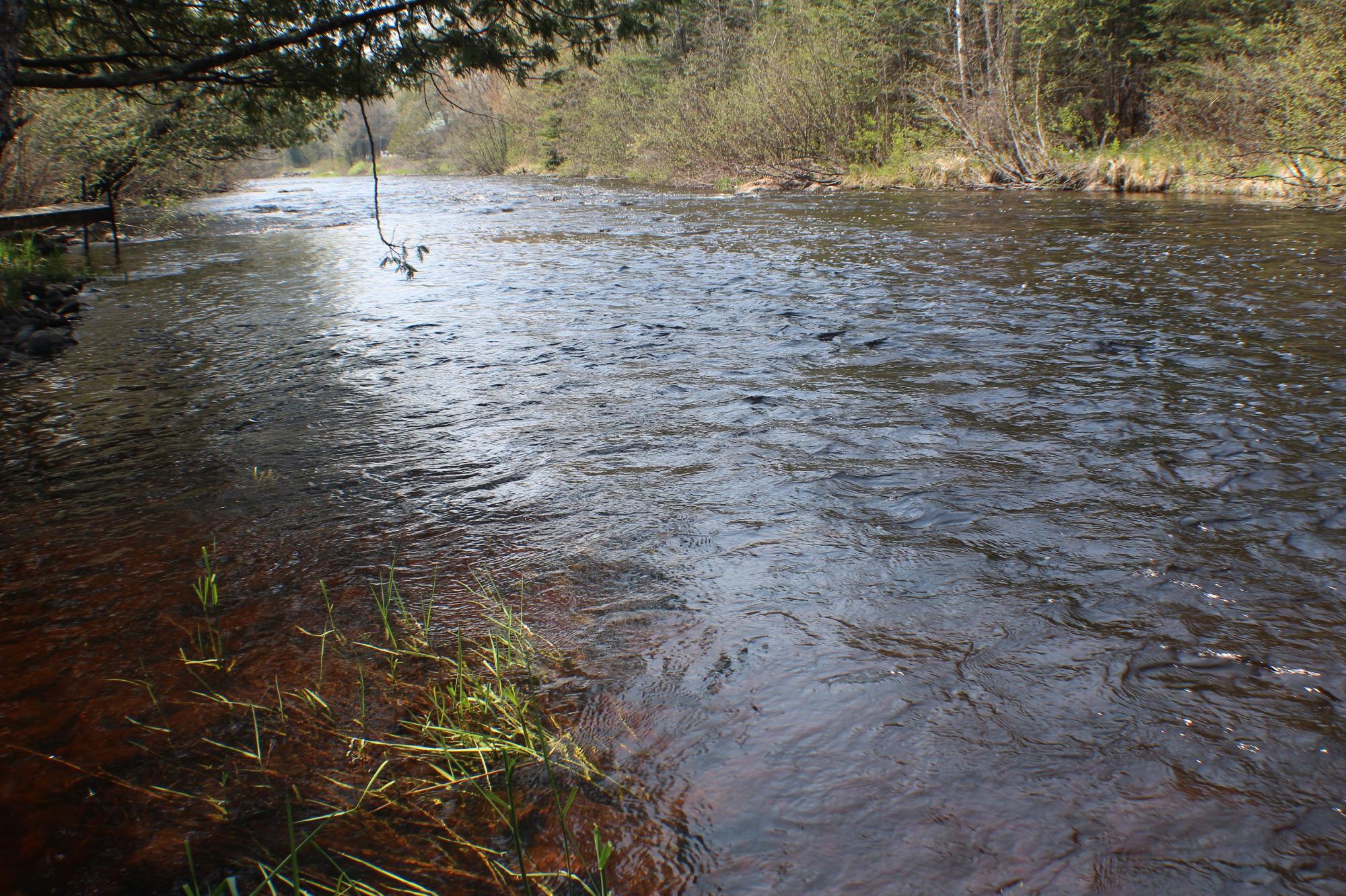 N15463 Woody Road Park Falls, WI 54552 - Photo 34 of 81 Gallery Image 34