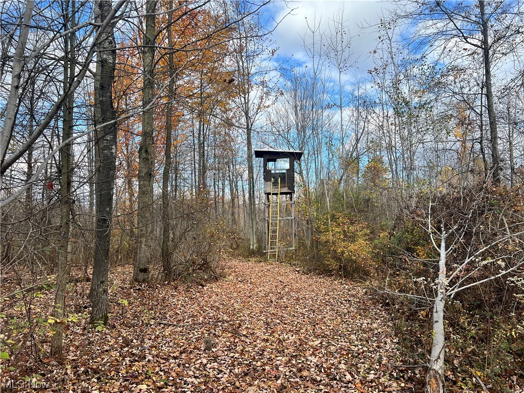 6 Us Route Pierpont, OH 44082 - Photo 5 of 32 View of mother earth's splendor