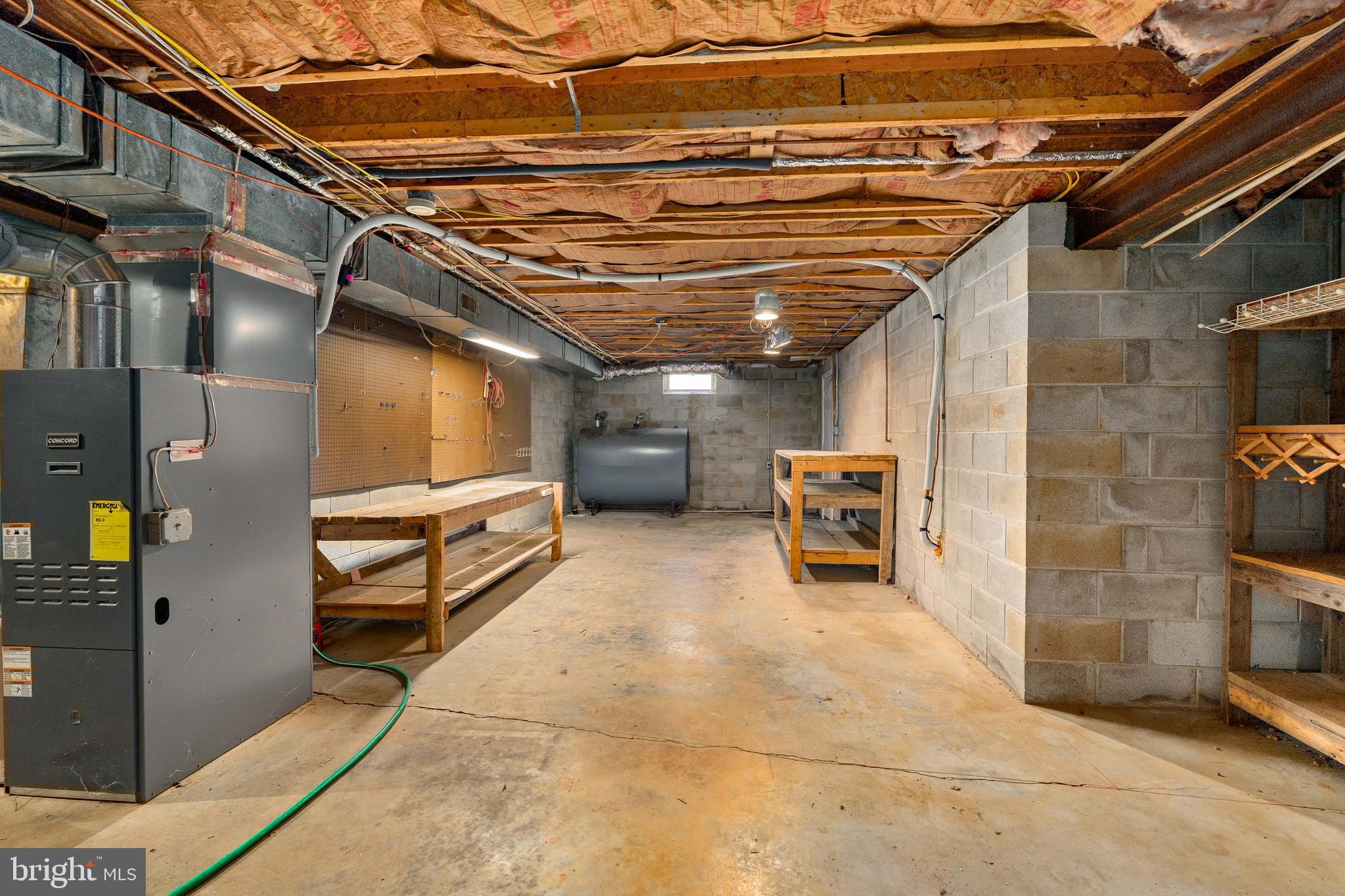 203 Mason Runn Lane Rising Sun, MD 21911 - Photo 17 of 20 Basement