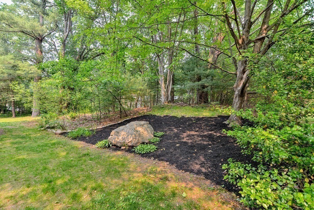 1 Ivy Lane Ashland, MA 01721 - Photo 40 of 42 a view of a backyard with large trees