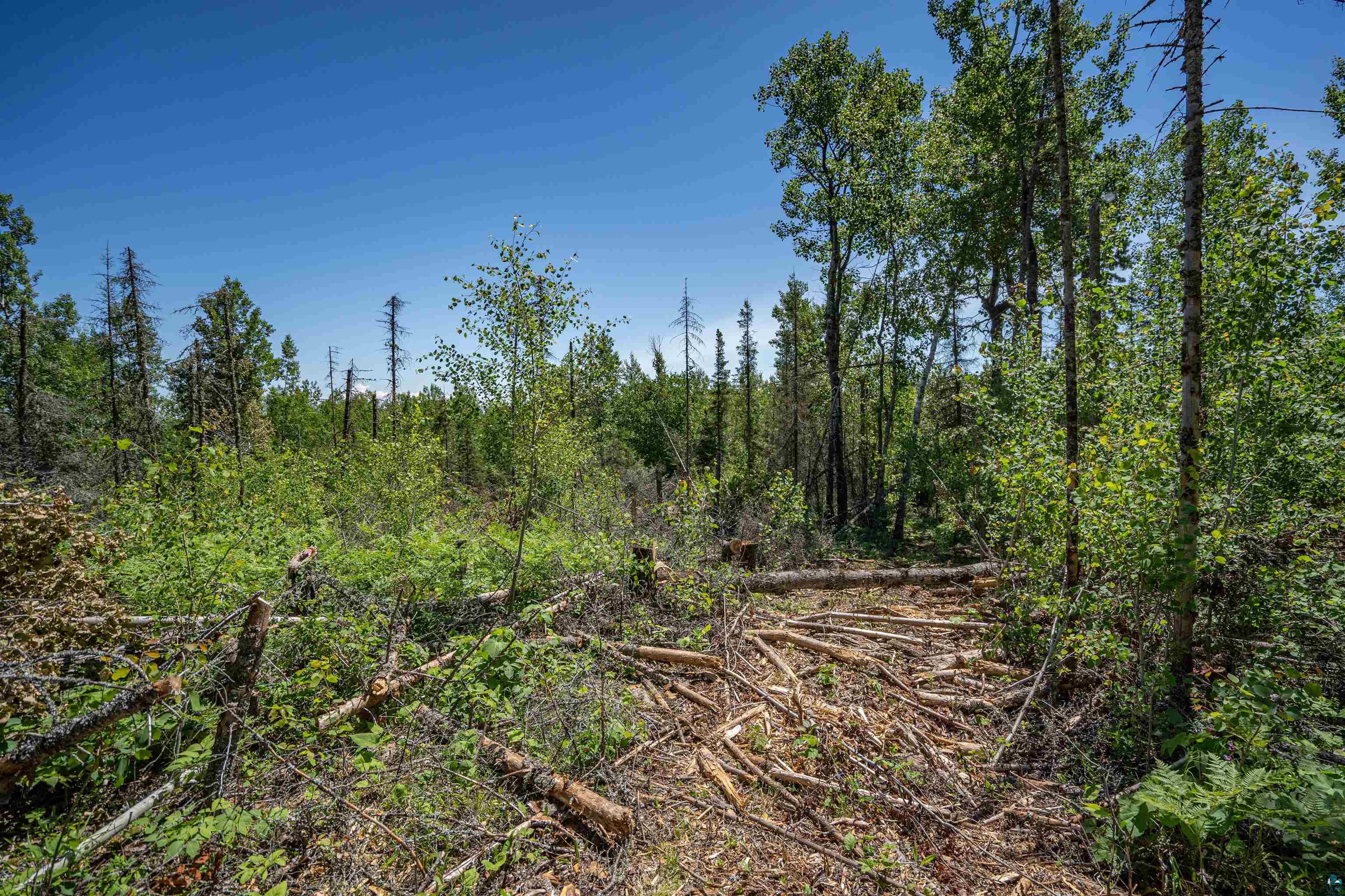 Xxx1 Wildwood Road Duluth, MN 55804 - Photo 21 of 25