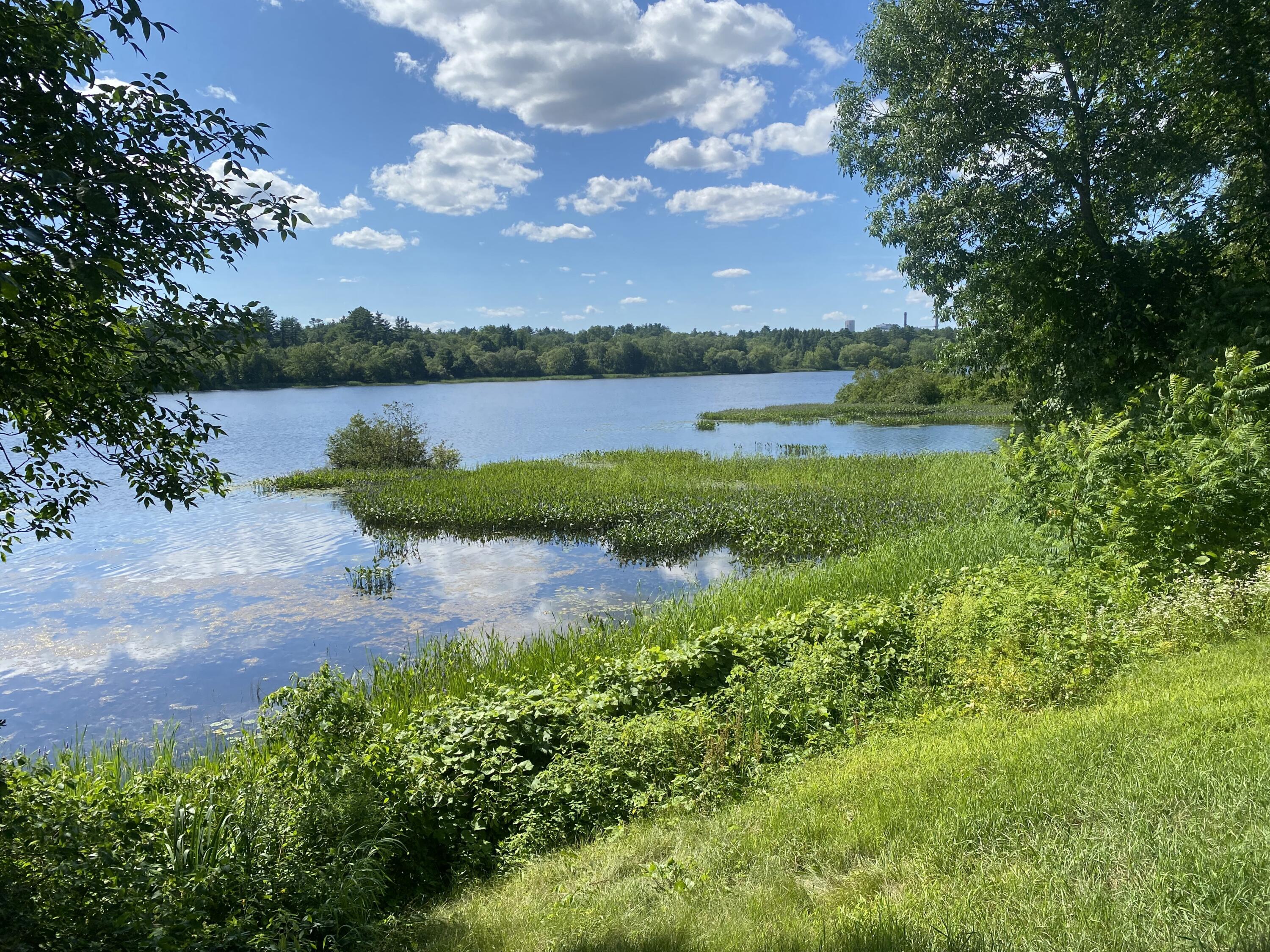 1690 River Road Clinton, ME 04927 - Photo 20 of 68 IMG_4447