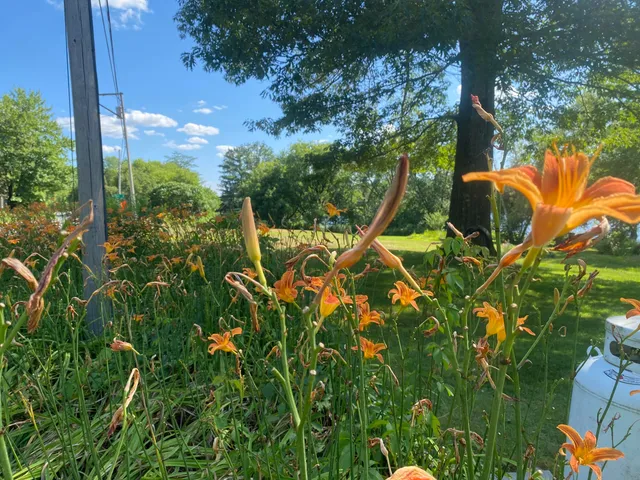 $395,500 | 1690 River Road, Clinton, ME 04927