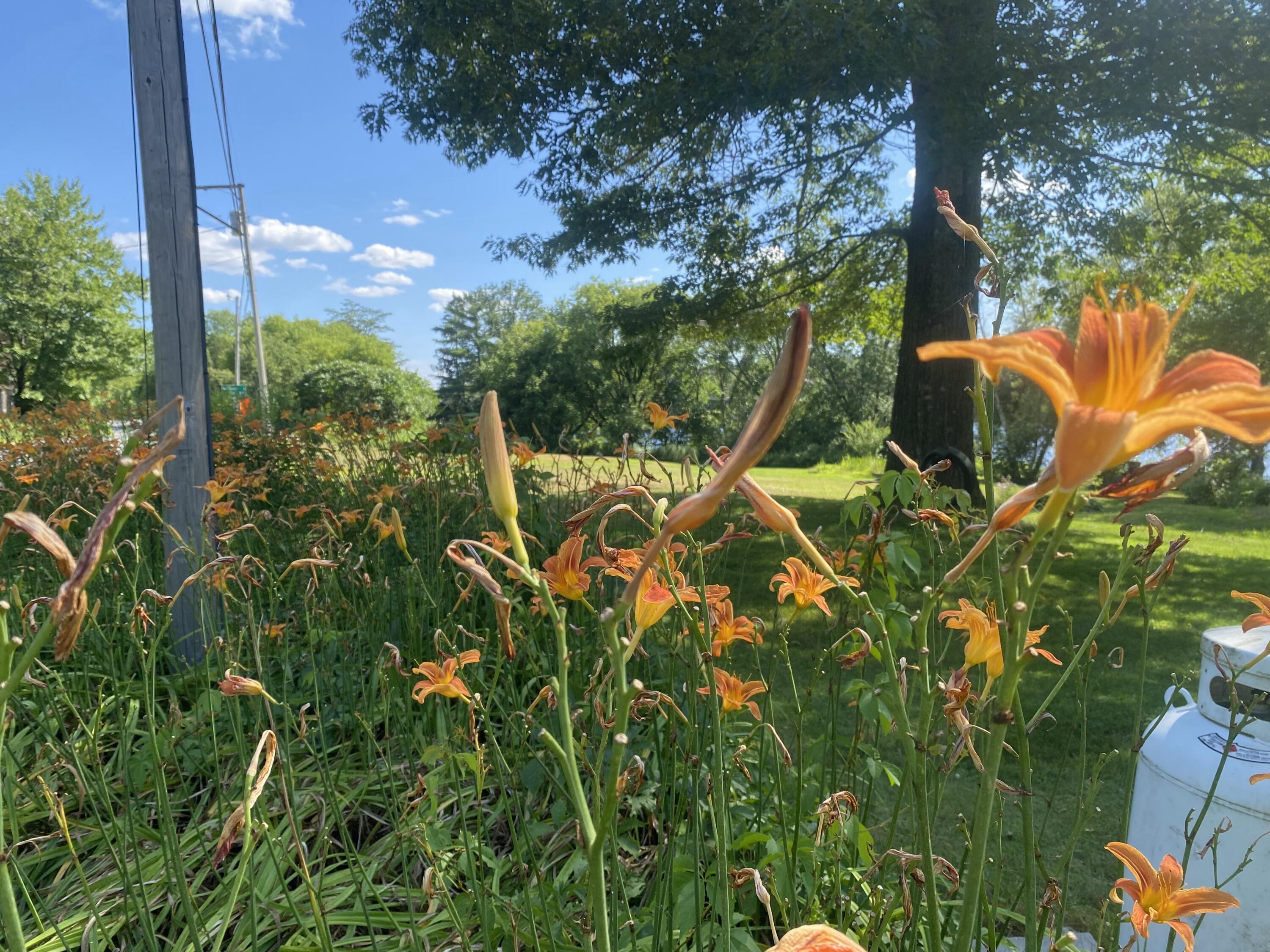 1690 River Road Clinton, ME 04927 - Photo 23 of 68 IMG_4453