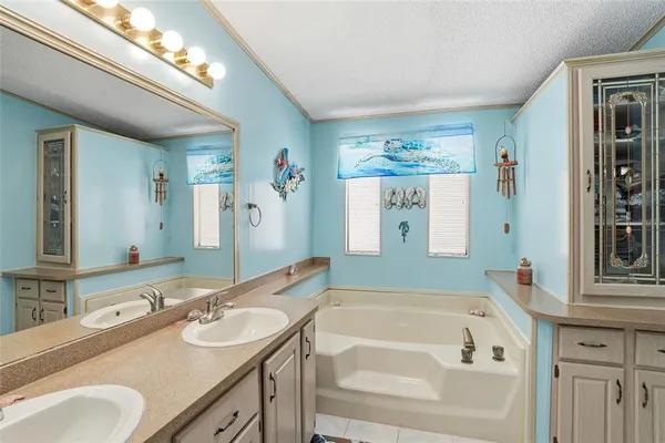 a bathroom with a tub a sink and a mirror