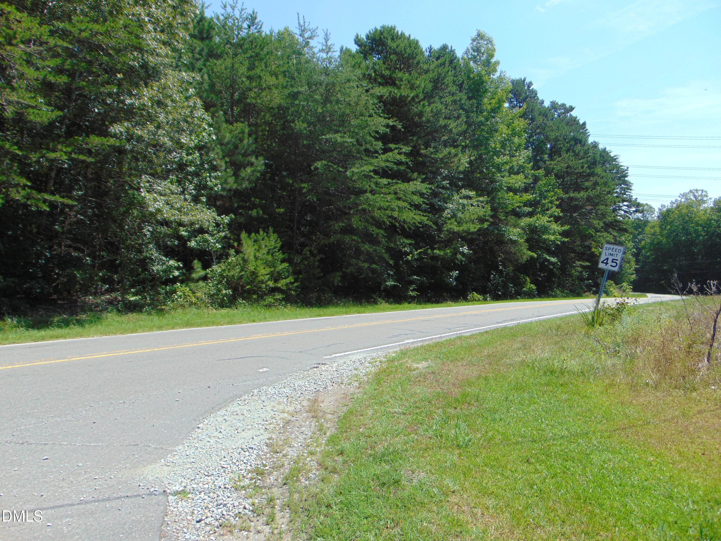 Lot 1 Hesters Store Road Roxboro, NC 27574 - Photo 4 of 7 a view of a yard with large trees