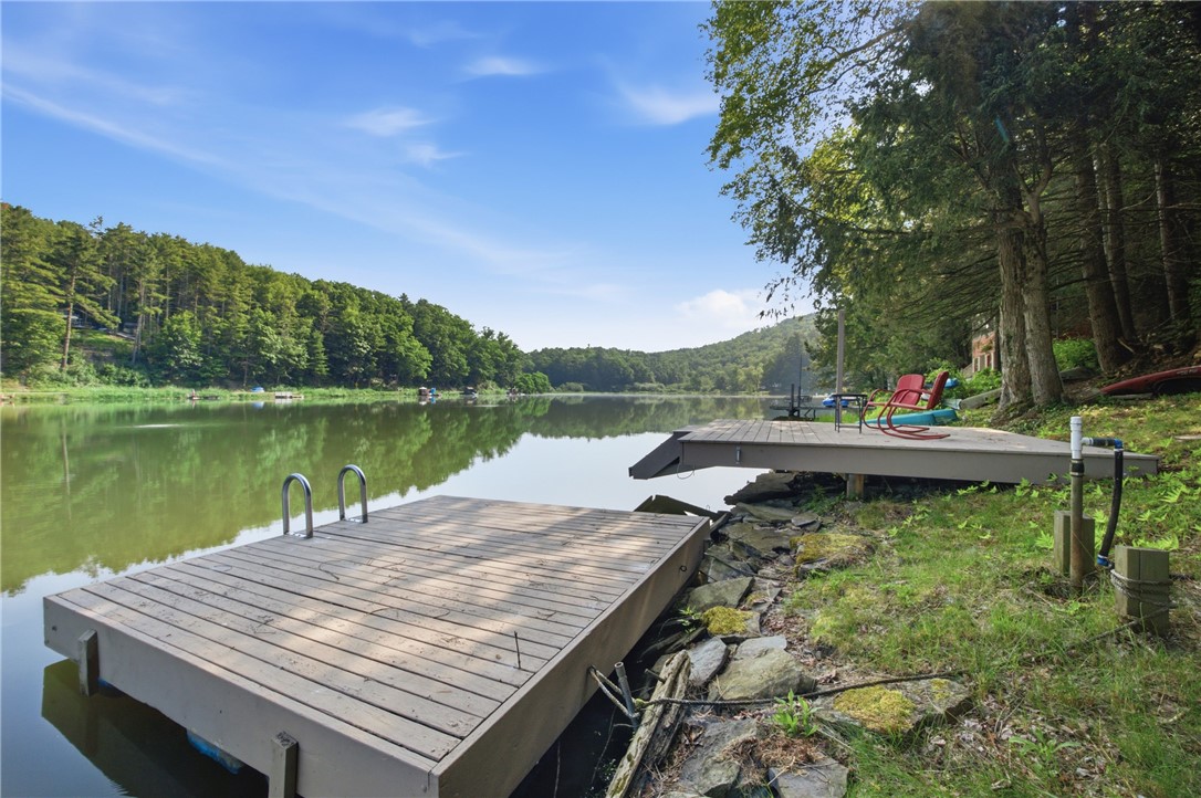 3819 Goodhue Lake Road Addison, NY 14801 - Photo 3 of 29