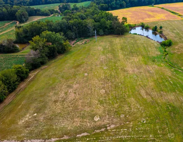 a view of a lake from a yard
