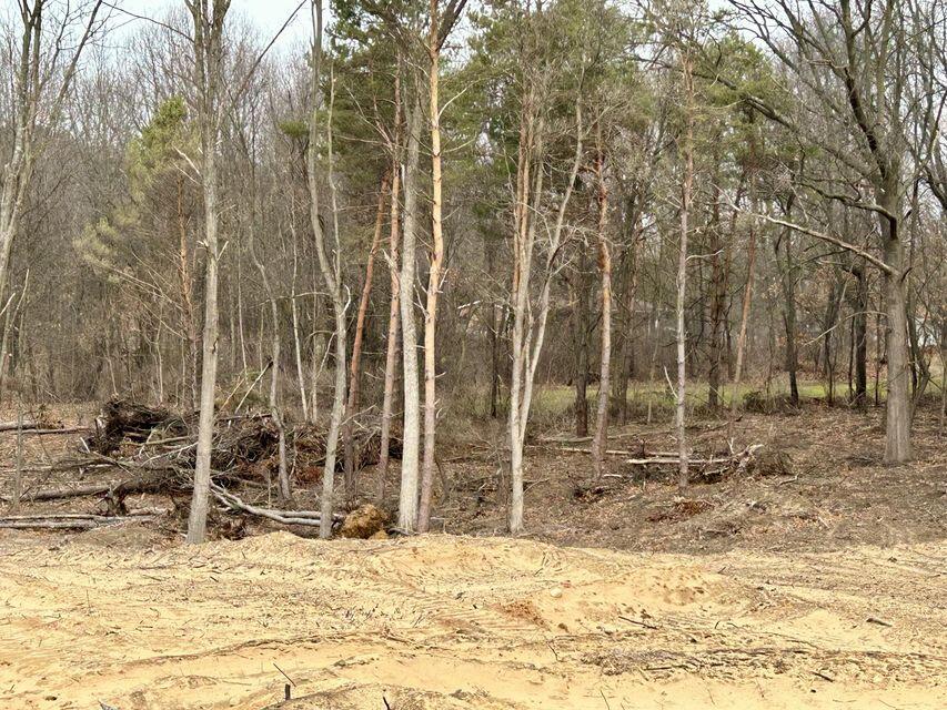 Bauman Road Battle Creek, MI 49017 - Photo 2 of 6 Bauman 6