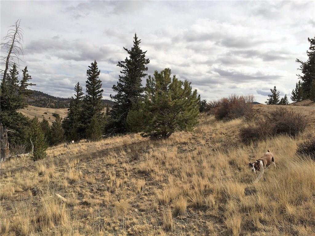 230 Arland Road Como, CO 80432 - Photo 14 of 15 a view of a dry yard with green space