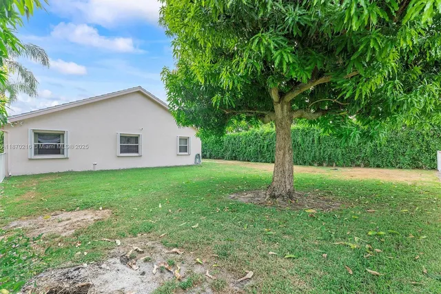 a view of a backyard with large trees and plants