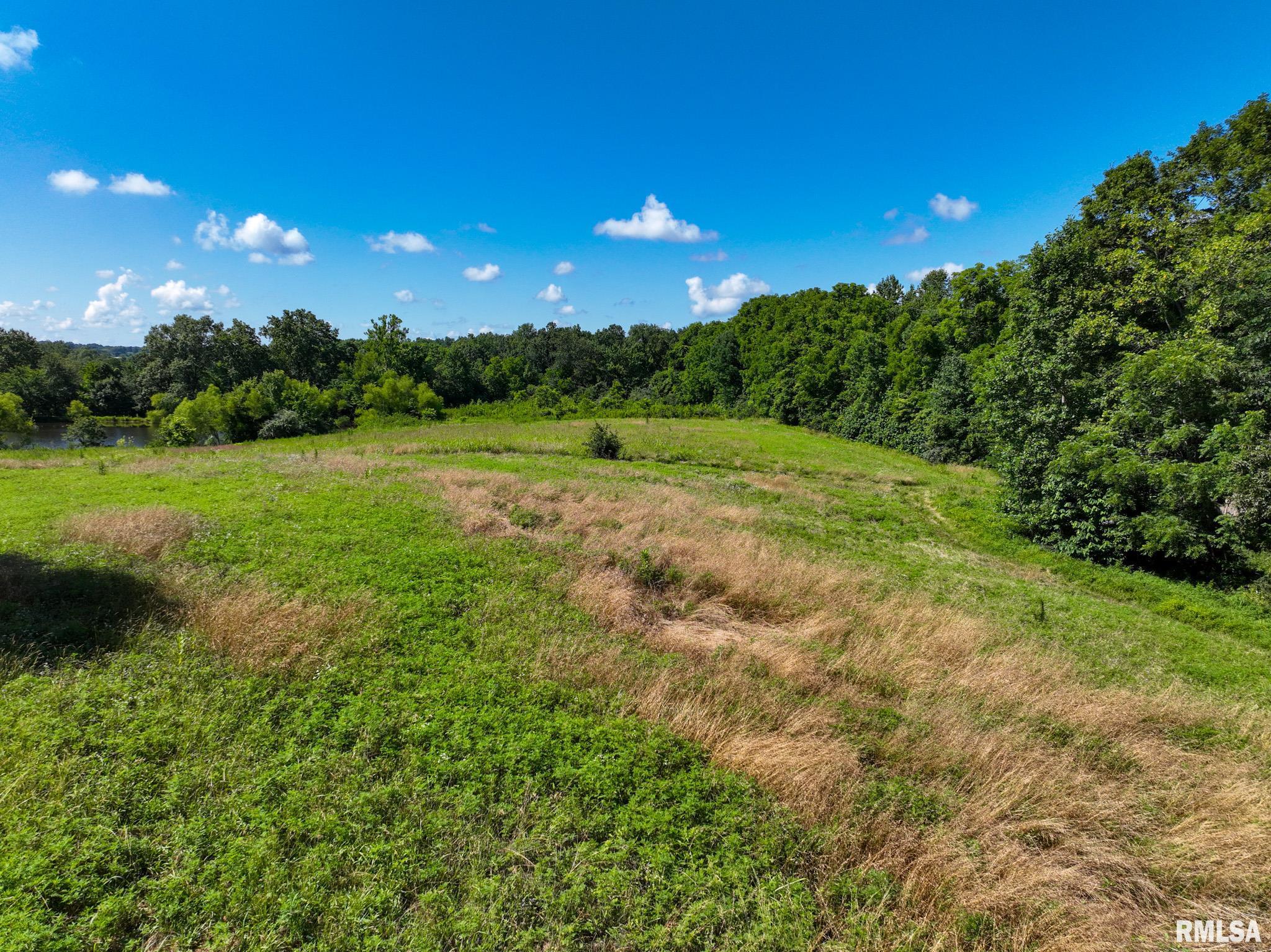 1770 Aldridge Road Cobden, IL 62920 - Photo 49 of 71