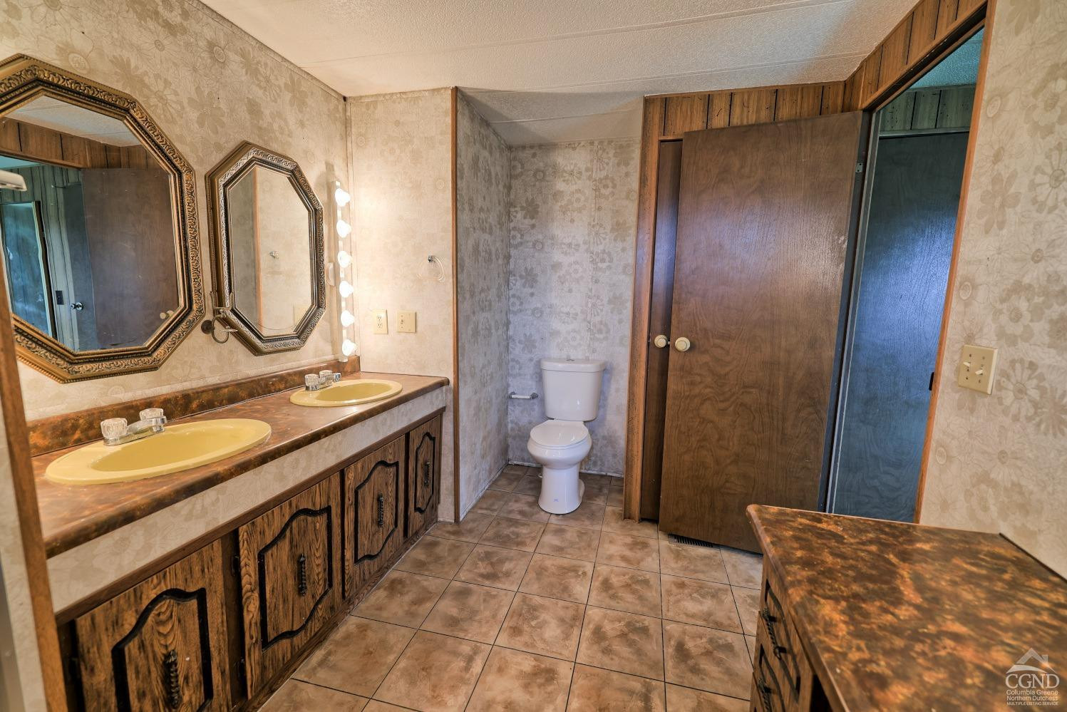299 Main Street Cairo, NY 12413 - Photo 33 of 85 a bathroom with a double vanity sink and a mirror