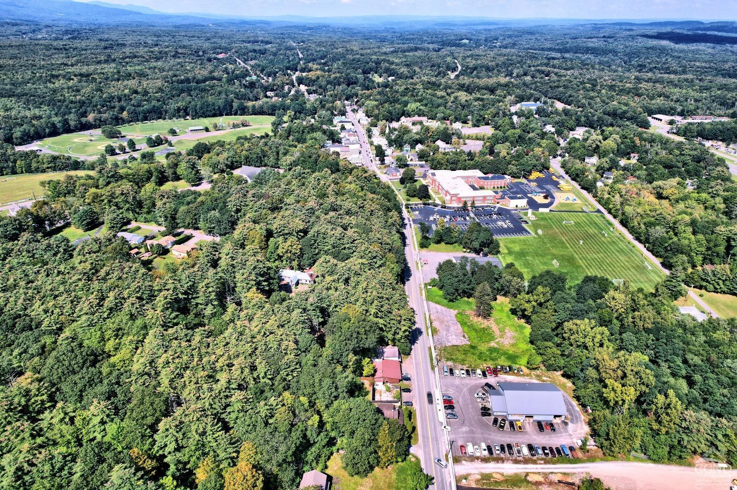 299 Main Street Cairo, NY 12413 - Photo 39 of 85 an aerial view of a city with lots of residential buildings