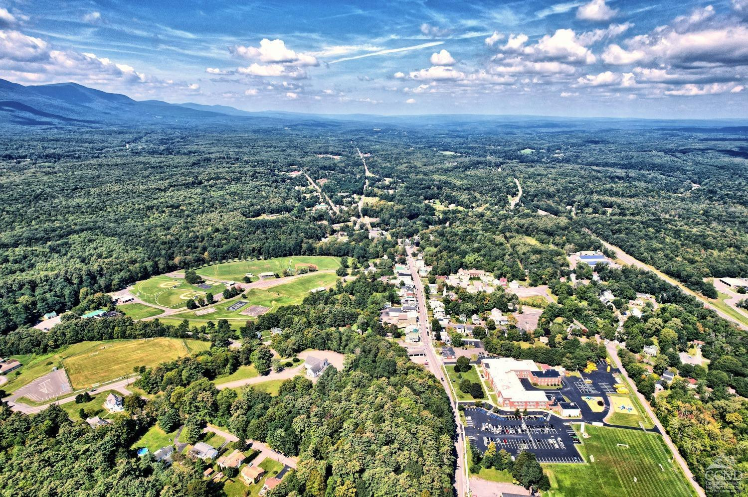 299 Main Street Cairo, NY 12413 - Photo 42 of 85 an aerial view of a