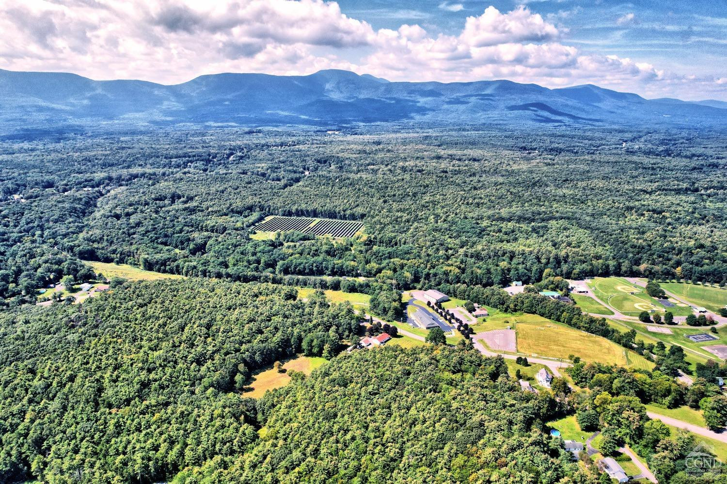 299 Main Street Cairo, NY 12413 - Photo 43 of 85 a view of a lush green hillside and houses