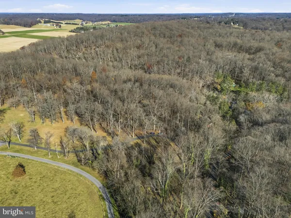 a view of a field with an ocean view