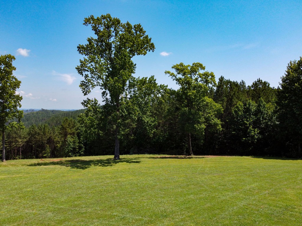 1011 Brickell Ridge Road Decatur, TN 37322 - Photo 33 of 35 Gallery Image 33