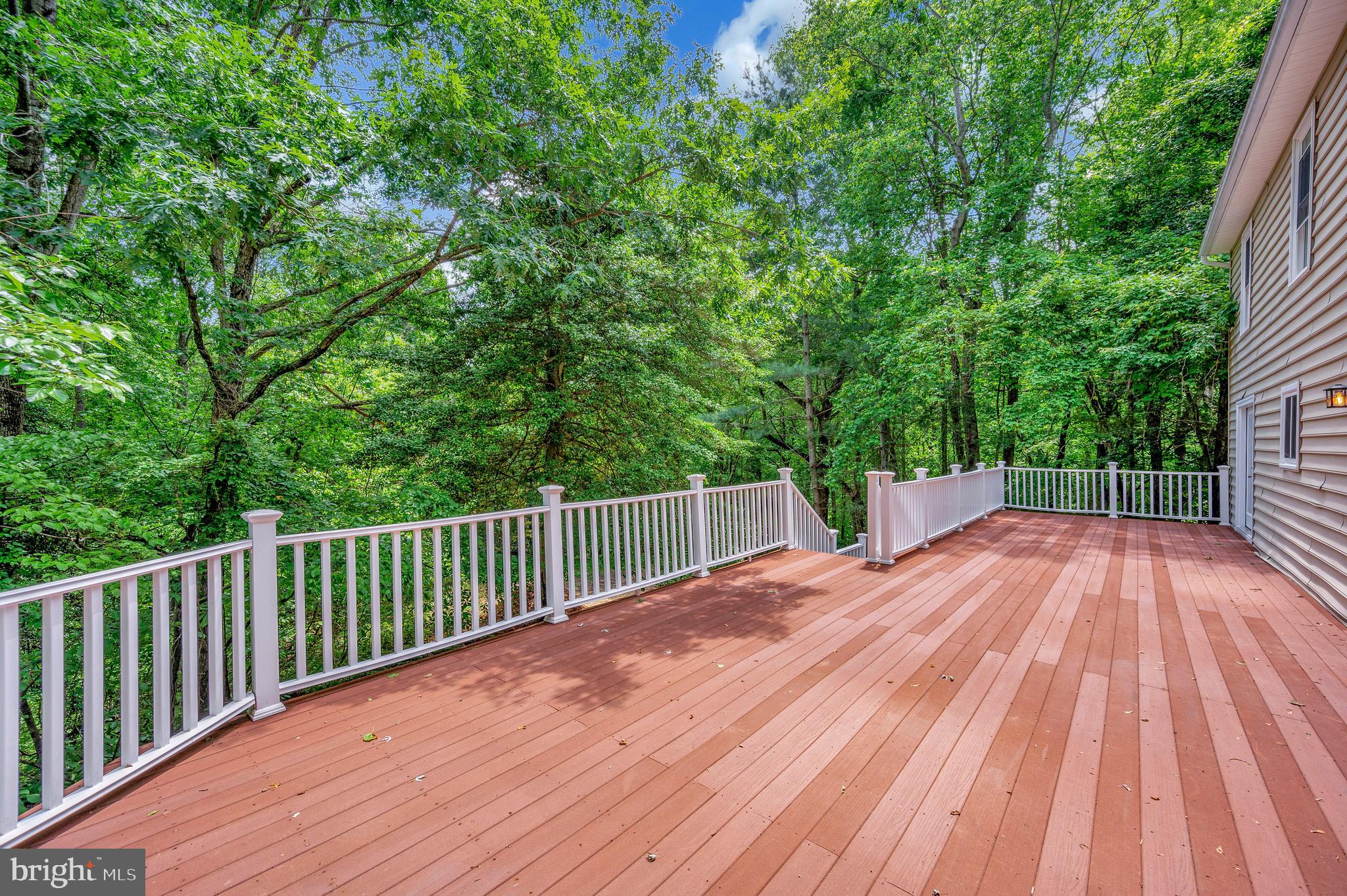 12237 Ward Road King George, VA 22485 - Photo 49 of 54 large back deck