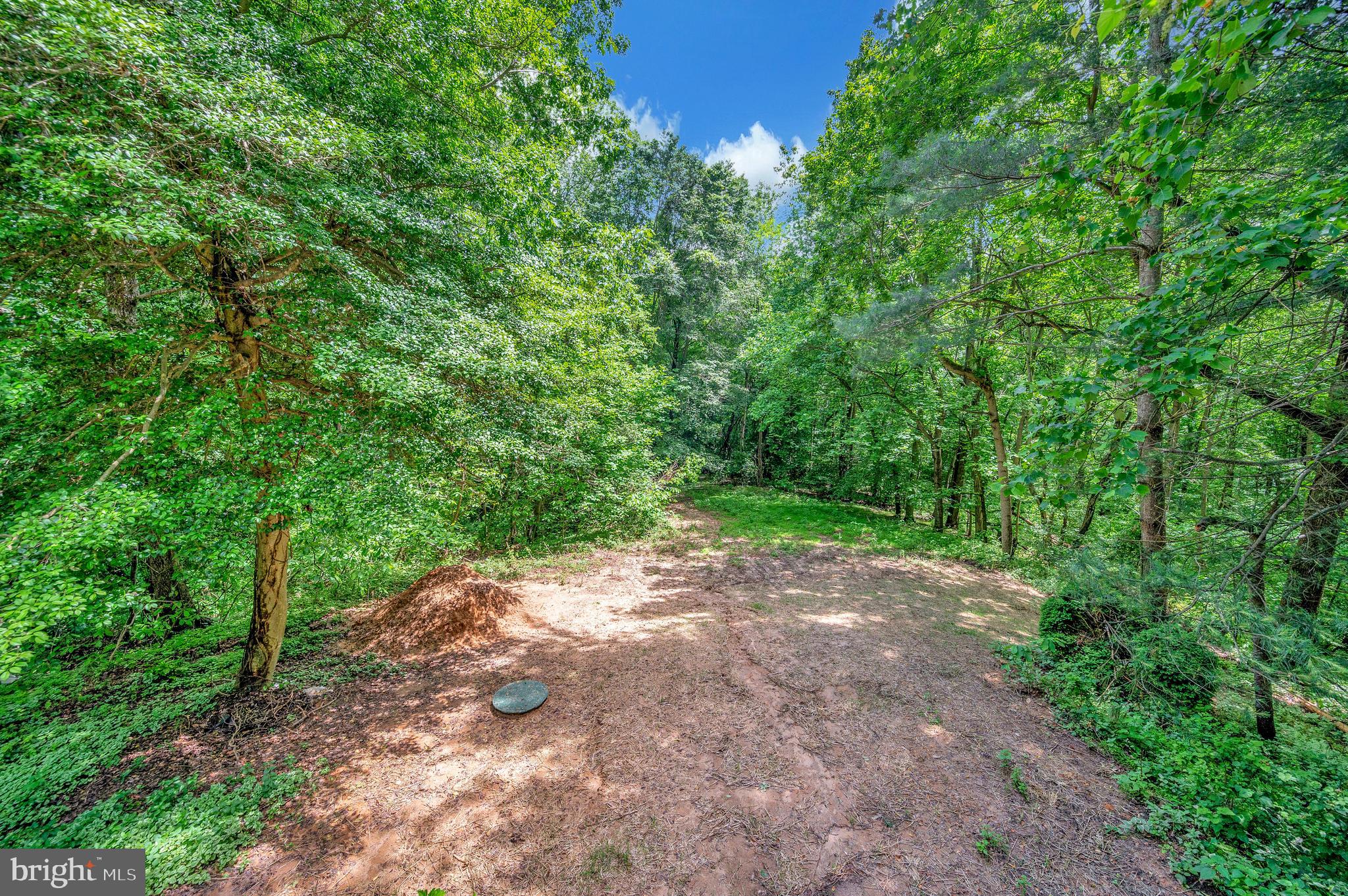 12237 Ward Road King George, VA 22485 - Photo 51 of 54 Private Backyard