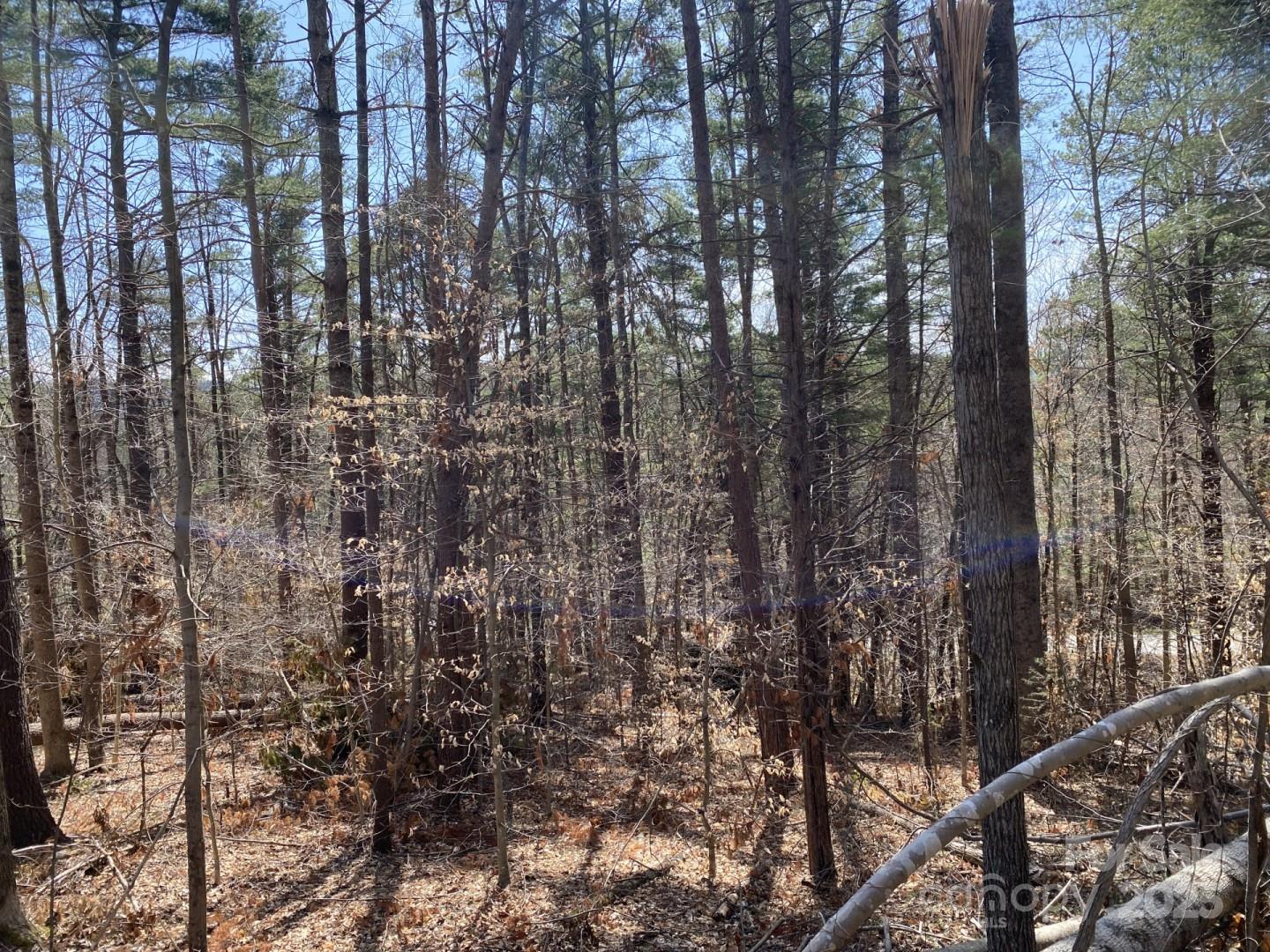 1 Pink Fox Cove Road Weaverville, NC 28787 - Photo 11 of 15