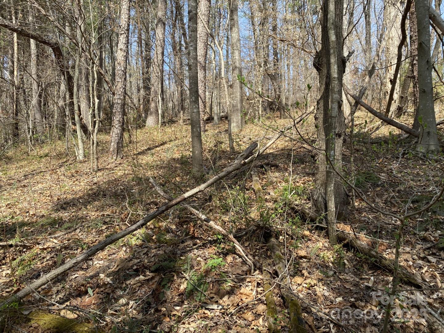 1 Pink Fox Cove Road Weaverville, NC 28787 - Photo 12 of 15 a backyard of a house with lots of green space