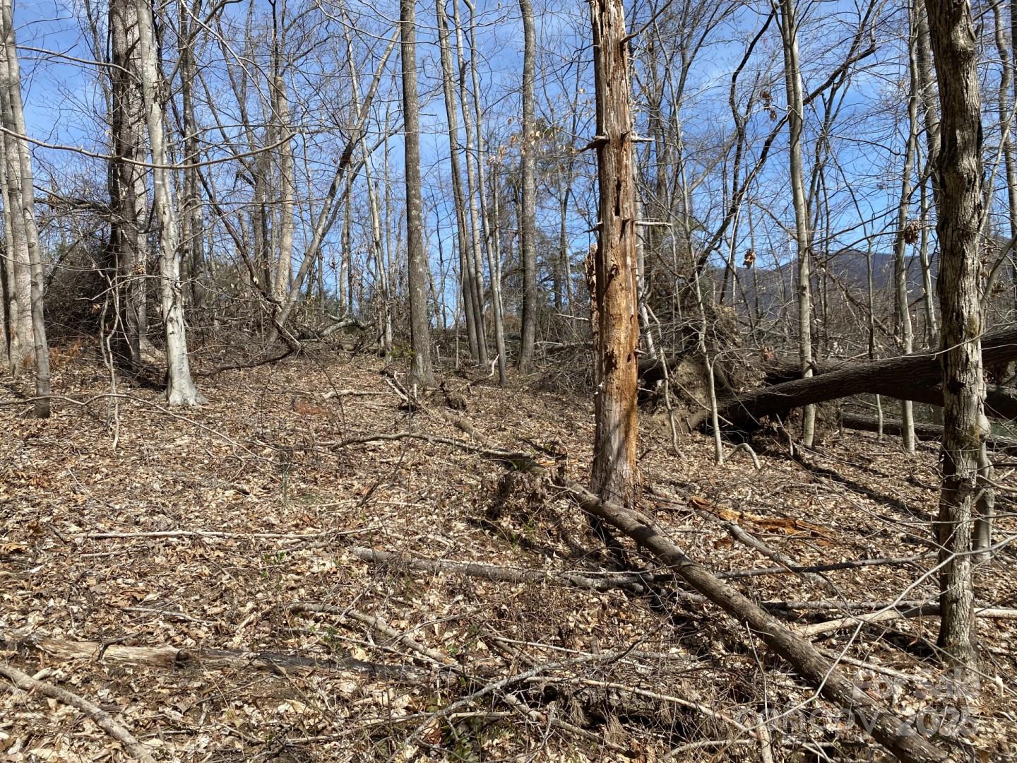 1 Pink Fox Cove Road Weaverville, NC 28787 - Photo 13 of 15 a backyard of a house with lots of green space