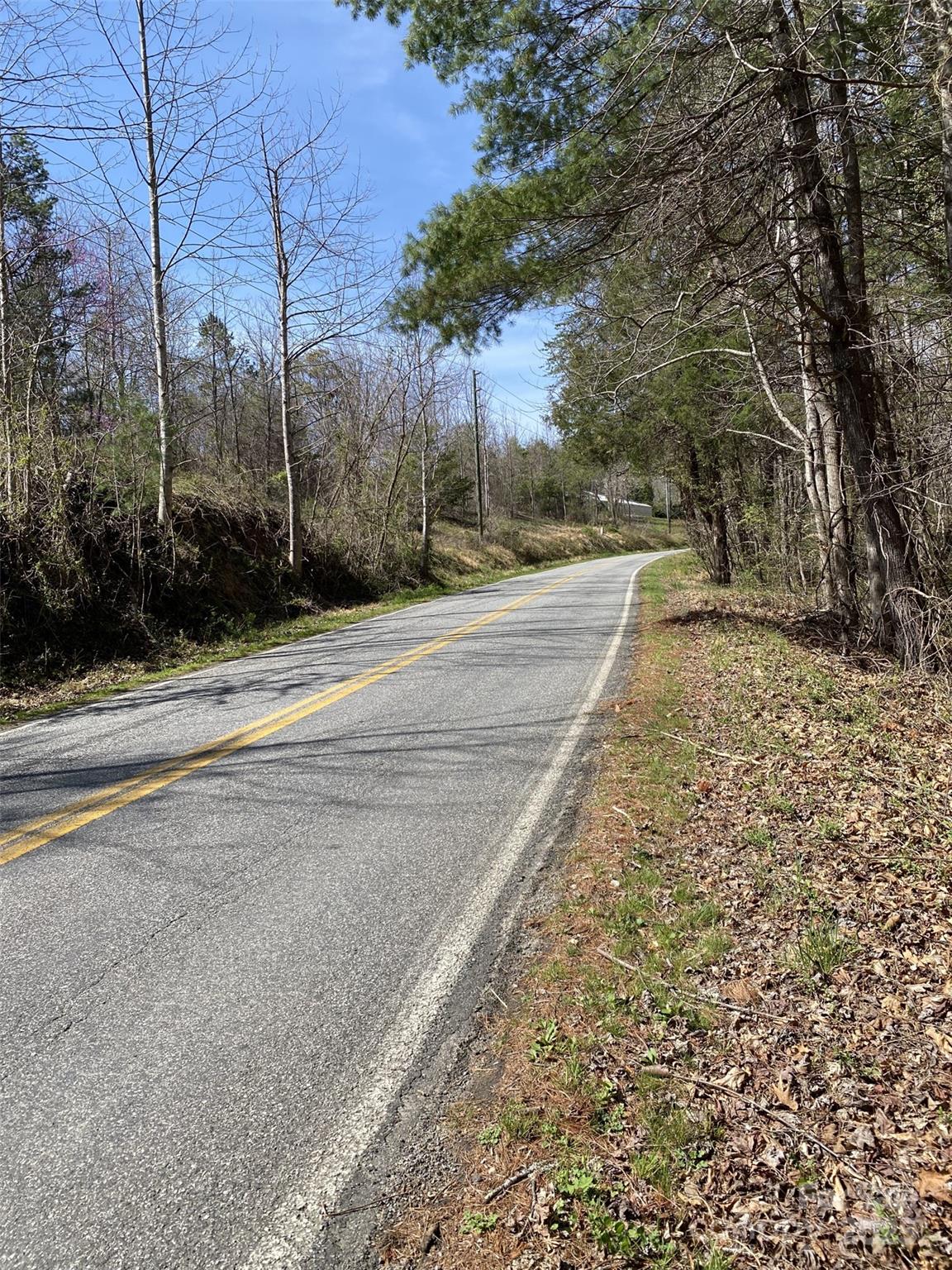 1 Pink Fox Cove Road Weaverville, NC 28787 - Photo 15 of 15 a view of a yard with large trees