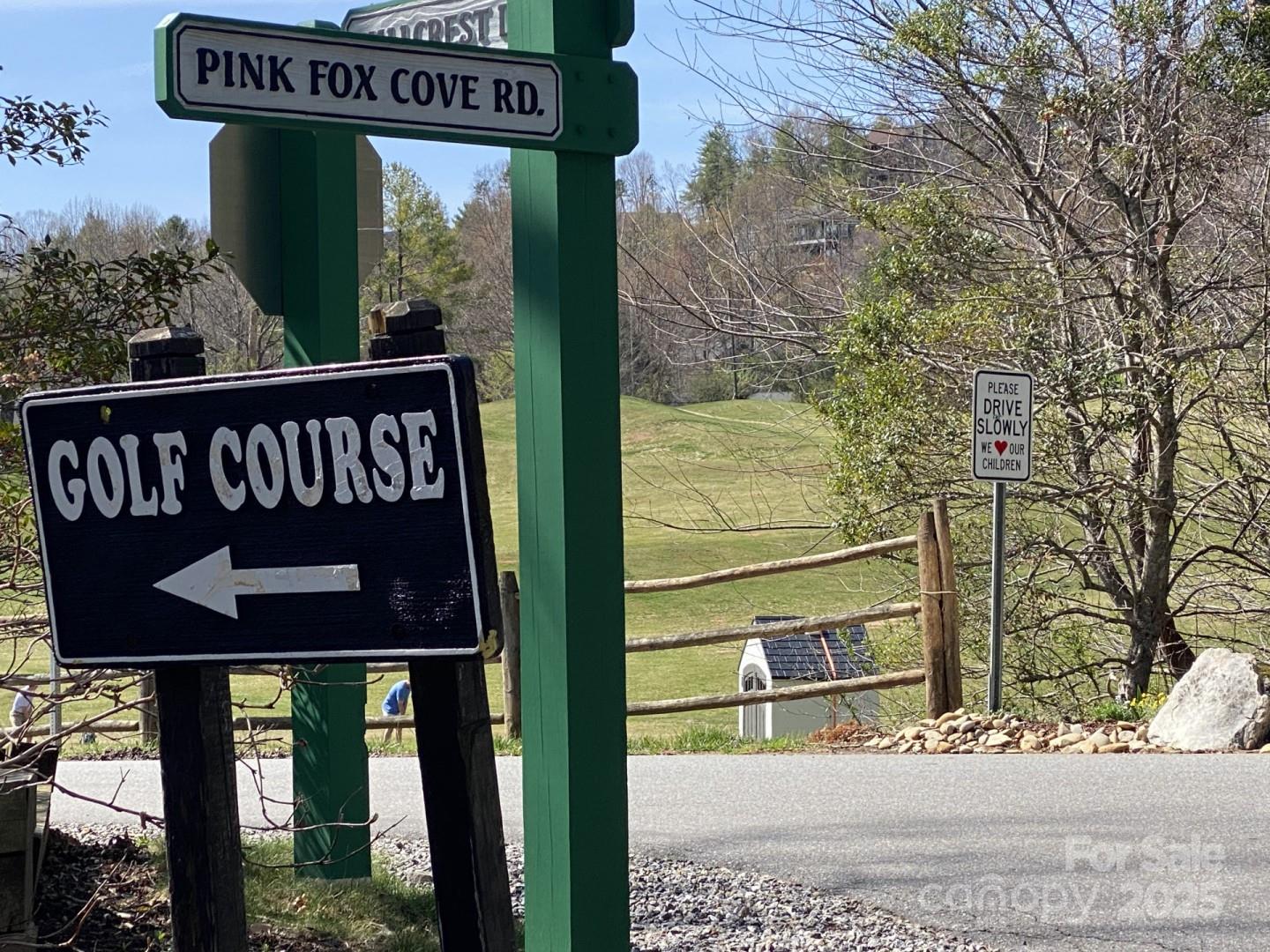 1 Pink Fox Cove Road Weaverville, NC 28787 - Photo 2 of 15