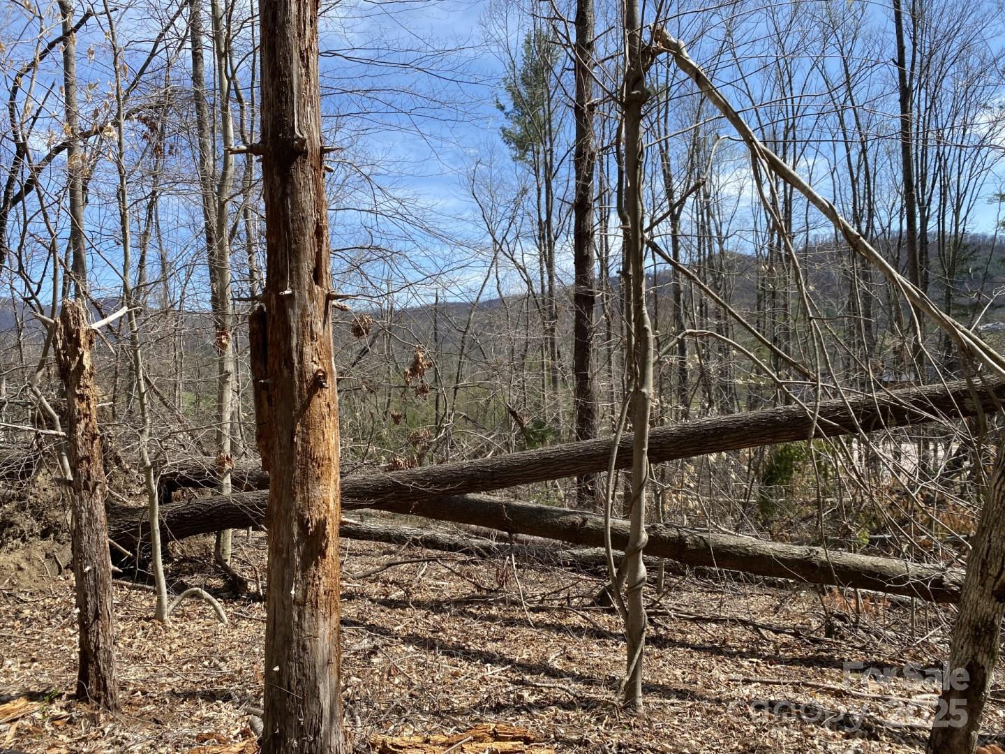 1 Pink Fox Cove Road Weaverville, NC 28787 - Photo 7 of 15 a backyard of a house with lots of green space