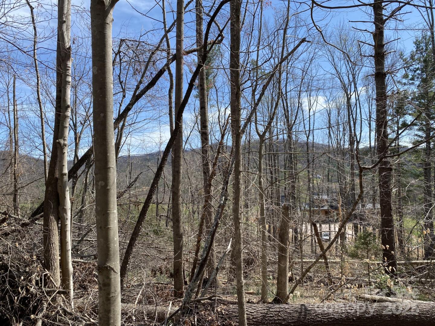 1 Pink Fox Cove Road Weaverville, NC 28787 - Photo 8 of 15