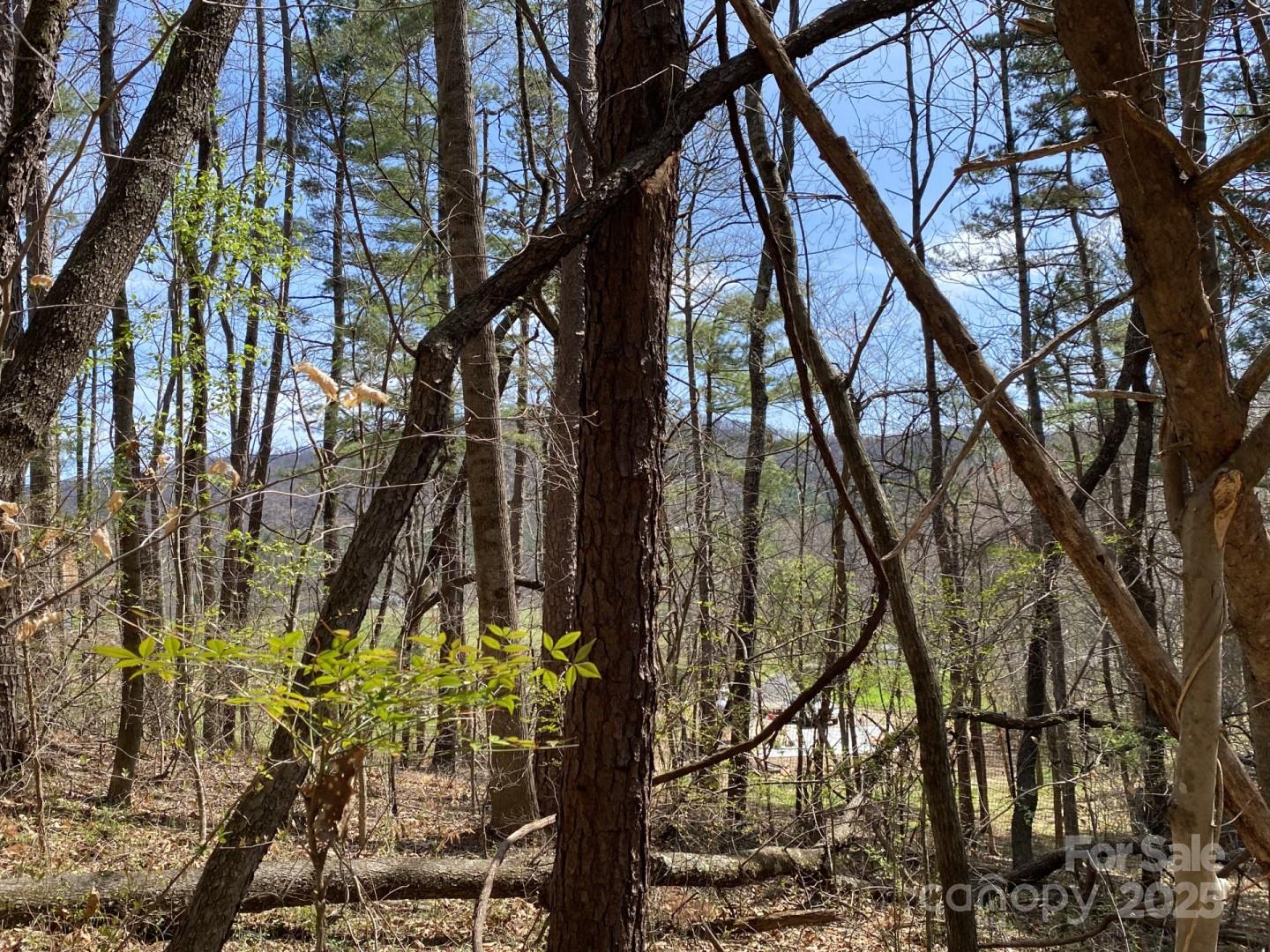 1 Pink Fox Cove Road Weaverville, NC 28787 - Photo 9 of 15 a backyard of a building
