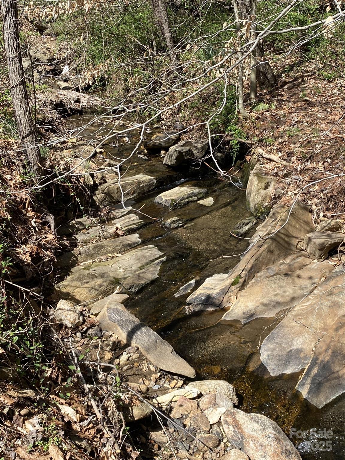 1 Pink Fox Cove Road Weaverville, NC 28787 - Photo 10 of 15