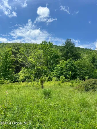 $24,900 | L5.126 L5.126 Tae Kwon Road, North Blenheim, NY 12131