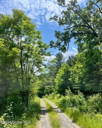 $24,900 | L5.126 L5.126 Tae Kwon Road, North Blenheim, NY 12131