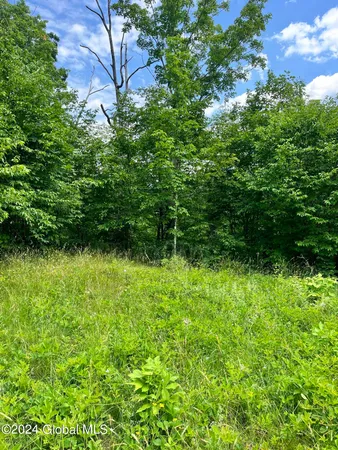 $24,900 | L5.126 L5.126 Tae Kwon Road, North Blenheim, NY 12131