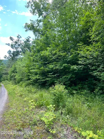 $24,900 | L5.126 L5.126 Tae Kwon Road, North Blenheim, NY 12131