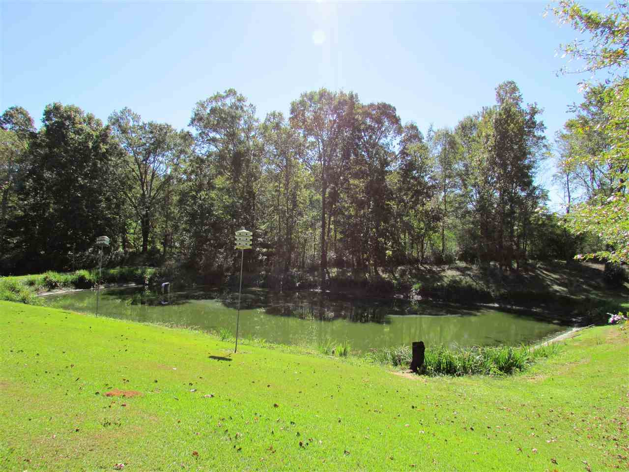 1096 Spring Hill Road Wesson, MS 39191 - Photo 19 of 50 Photo 19
