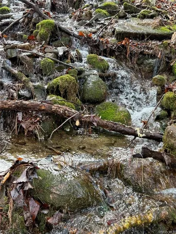 a big yard with lots of green space