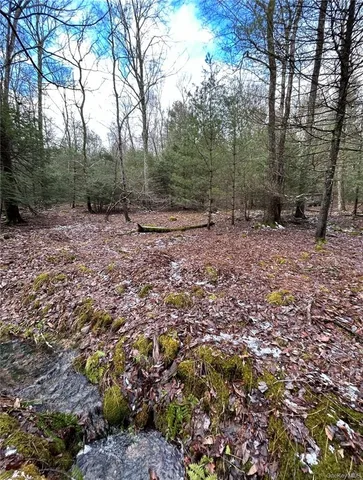 a view of a yard with trees