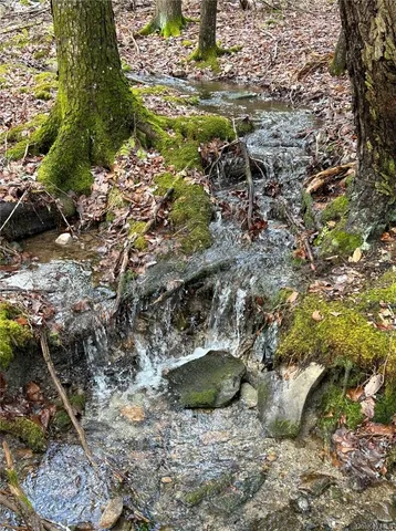 a backyard of a house