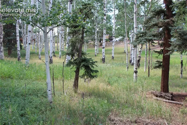 $65,000 | 175 Club Drive, Woodland Park, CO 80863