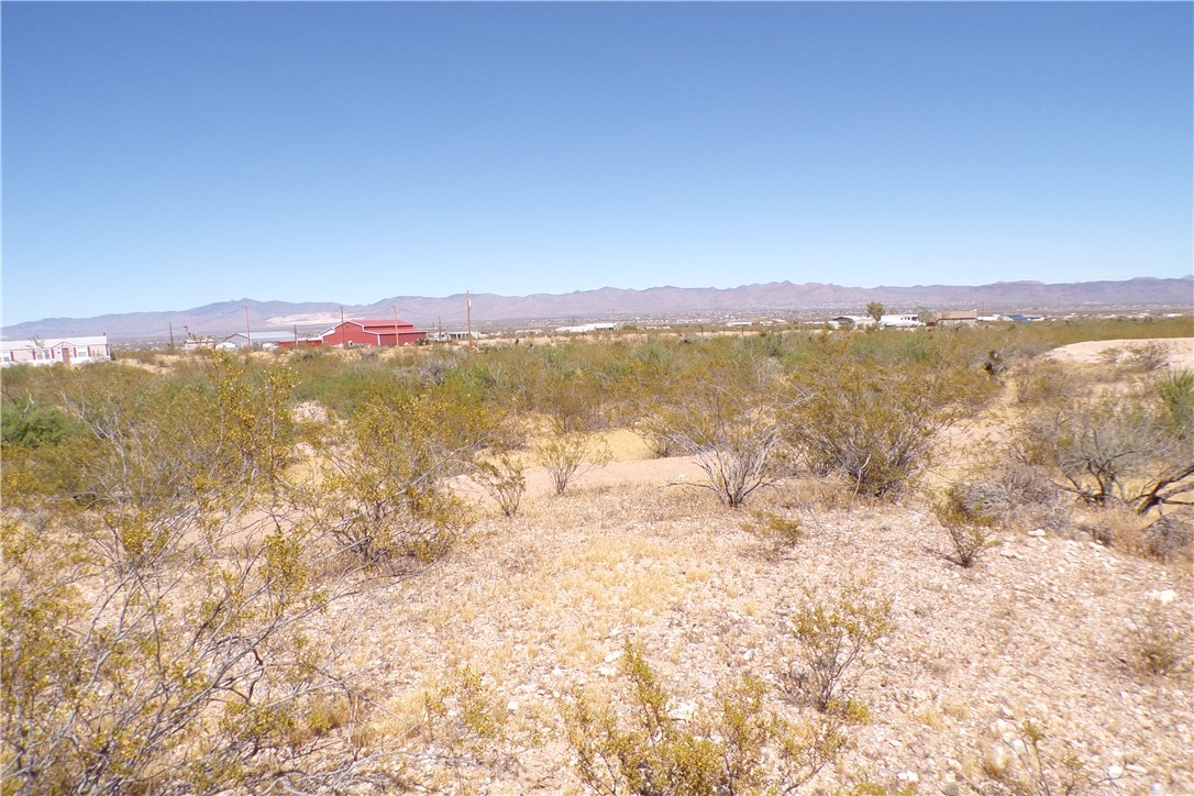 1386 Don Luis Road Golden Valley, AZ 86413 - Photo 10 of 47 This expansive property features a desert landscape with scattered shrubs and distant mountain views
