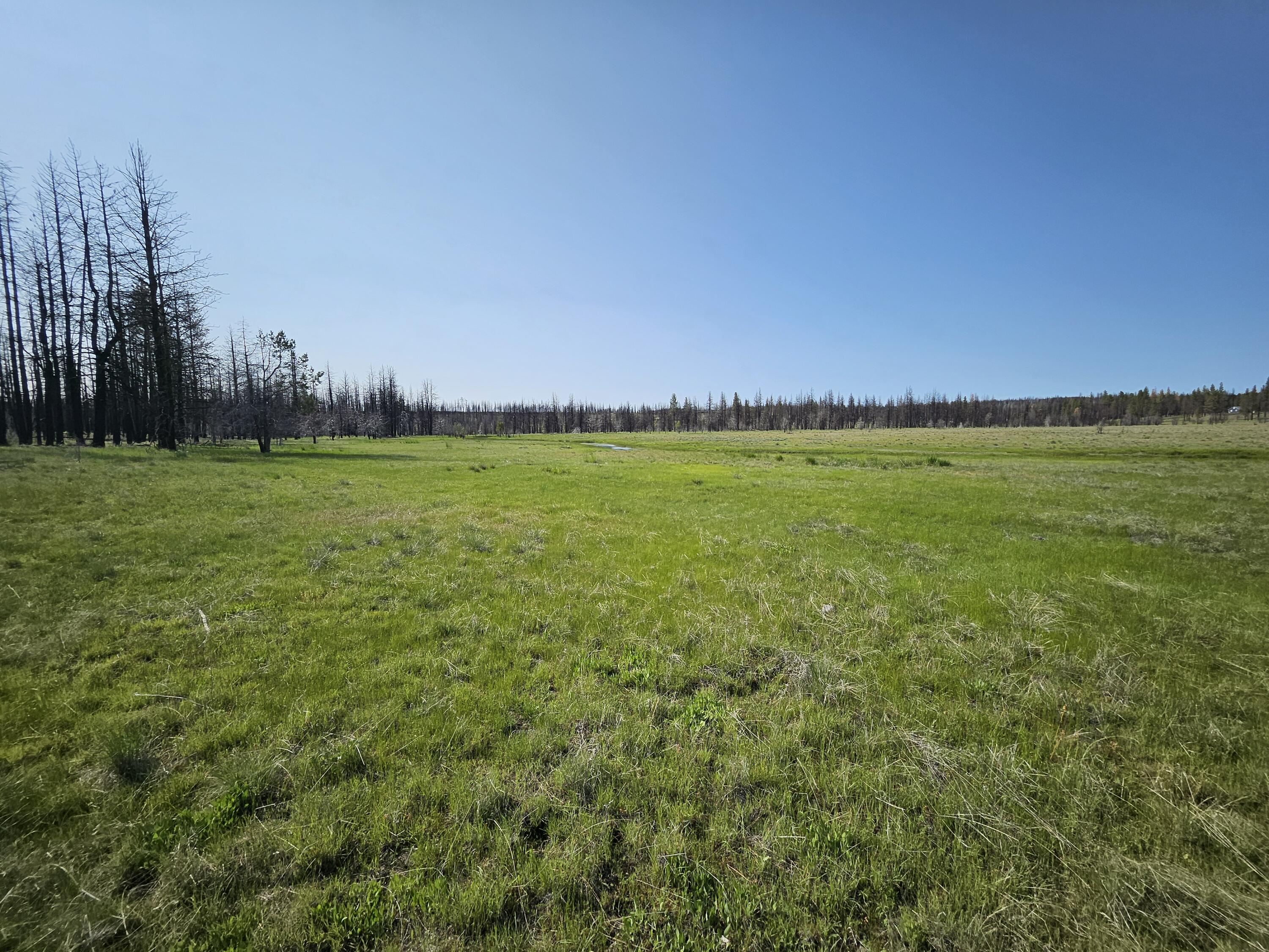 8 Parazoo Trail Bly, OR 97622 - Photo 11 of 27 20250601_165151