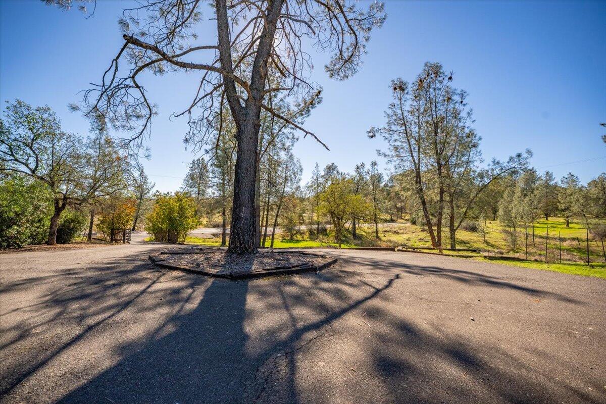 13160 Bear Mountain Road Redding, CA 96003 - Photo 4 of 40 a view of a street with a building in the background
