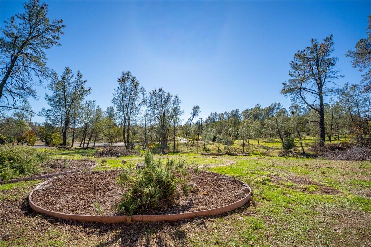 13160 Bear Mountain Road Redding, CA 96003 - Photo 5 of 40 a view of a park with large trees