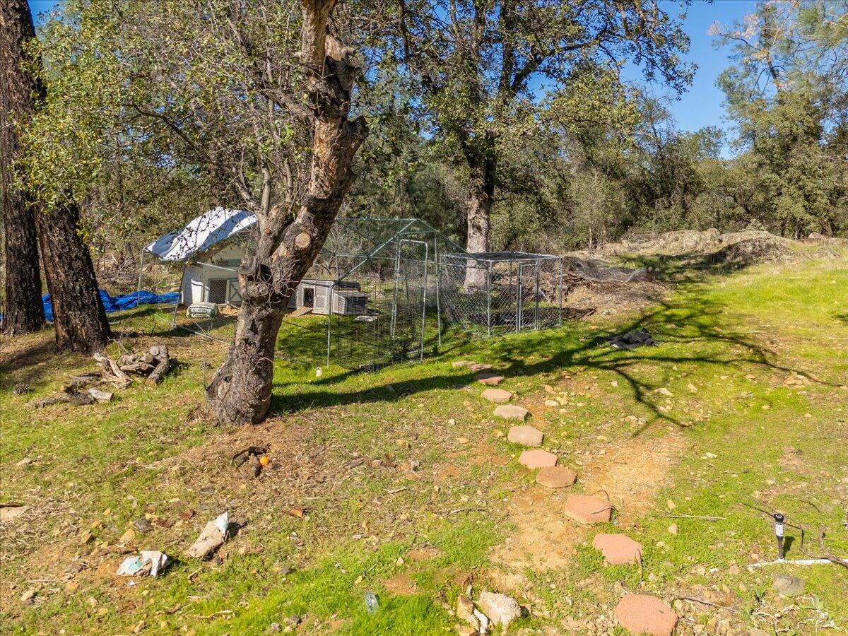 13160 Bear Mountain Road Redding, CA 96003 - Photo 9 of 40 a view of yard with swimming pool