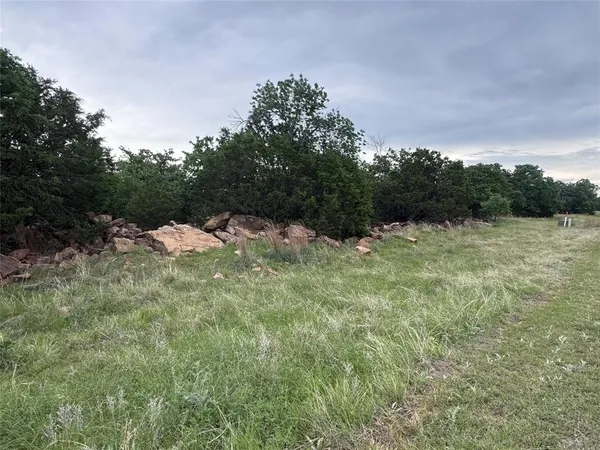 a view of a field of grass and trees